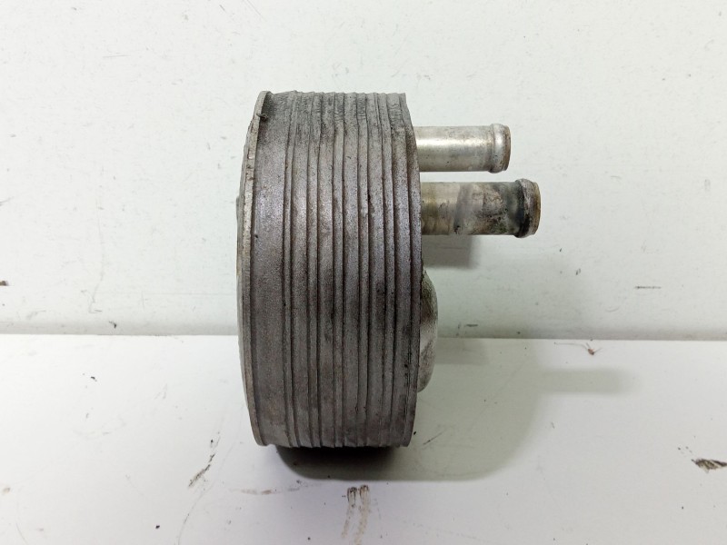 Recambio de enfriador aceite motor para nissan almera tino (v10) 2.2 dci referencia OEM IAM 178482615  