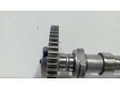 Recambio de arbol de levas para bmw serie 5 berlina (e39) 530d referencia OEM IAM m57   2
