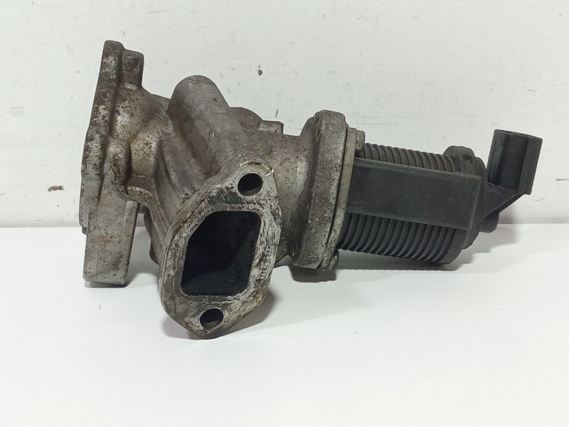 Recambio de valvula egr para fiat punto evo (199_) 1.3 d multijet (199axc1a, 199bxc1a, 199axt1a, 199bxt1a) referencia OEM IAM 55 Recambio de valvula egr para fiat punto evo (199_) 1.3 d multijet (199axc1a, 199bxc1a, 199axt1a, 199bxt1a) referencia OEM IAM 55