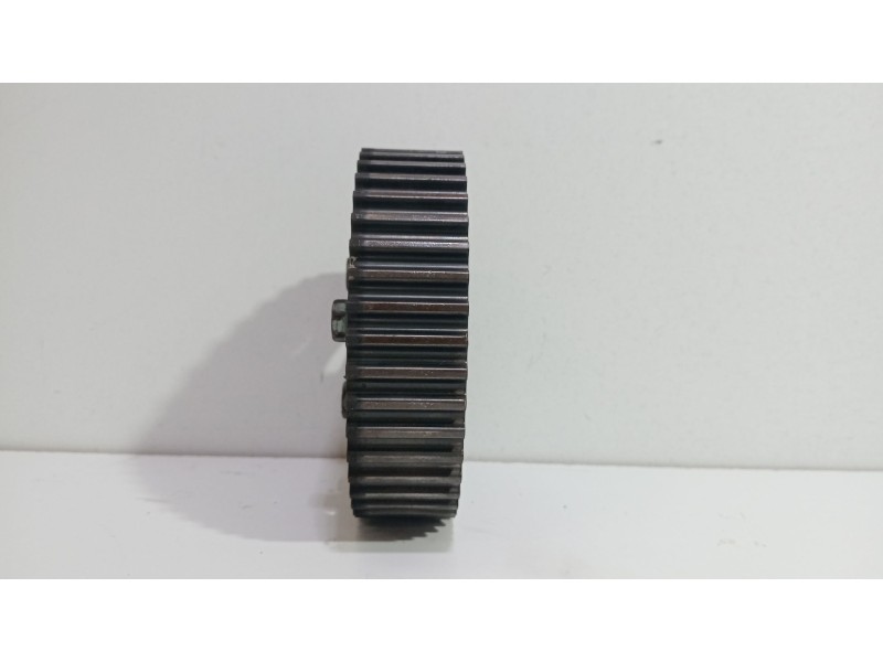 Recambio de polea arbol levas para volkswagen passat b6 (3c2) 2.0 tdi 4motion referencia OEM IAM 038109111E   Recambio de polea arbol levas para volkswagen passat b6 (3c2) 2.0 tdi 4motion referencia OEM IAM 038109111E