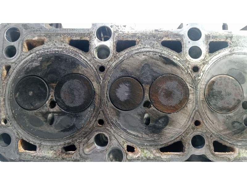 Recambio de culata para volkswagen golf v (1k1) 1.9 tdi 4motion referencia OEM IAM 038103373R  