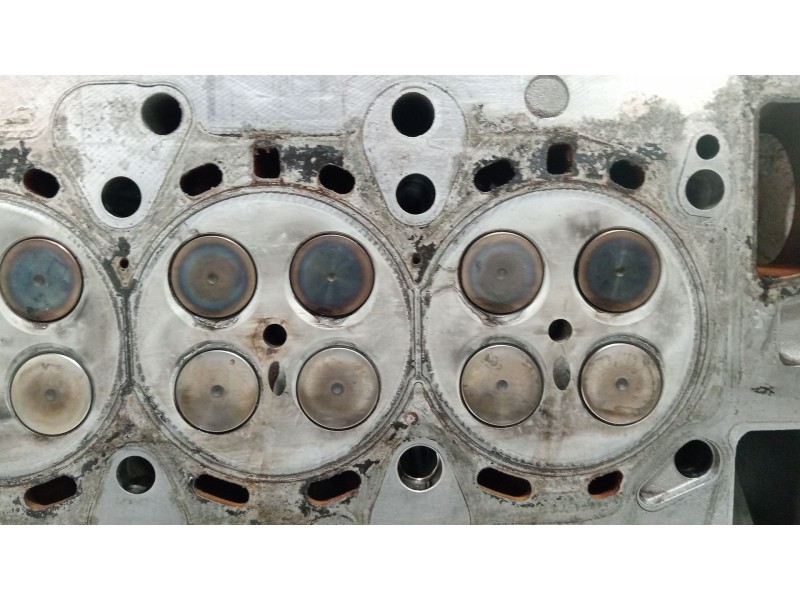 Recambio de culata para bmw serie 3 berlina (e46) 320d referencia OEM IAM 22466019  