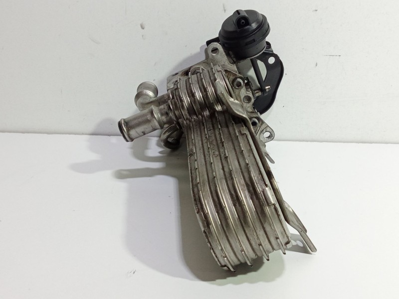 Recambio de enfriador egr para volkswagen golf v (1k1) 1.9 tdi referencia OEM IAM 038131513AD  