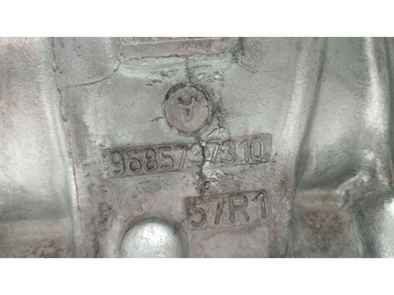 Recambio de sobrecarter para citroën jumpy iii furgoneta (v_) 1.6 bluehdi 115 referencia OEM IAM 9685737310  