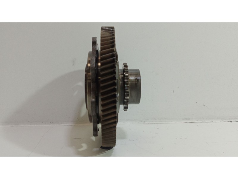 Recambio de polea bomba inyectora para mercedes-benz clase a (w176) a 200 cdi / d 4-matic (176.002) referencia OEM IAM A65107704