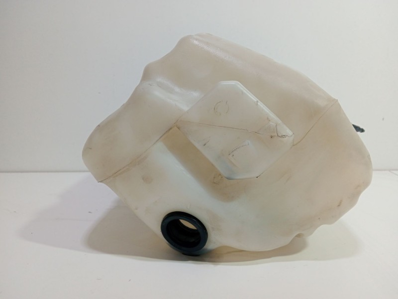 Recambio de deposito limpia para renault megane ii (bm0/1_, cm0/1_) 1.6 16v (bm0c, cm0c) referencia OEM IAM 8200104709  