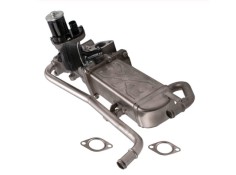Recambio de valvula egr para seat ibiza iv furgoneta/hatchback (6j1) 1.6 tdi referencia OEM IAM 709720010 03L131512DP 03L131512C