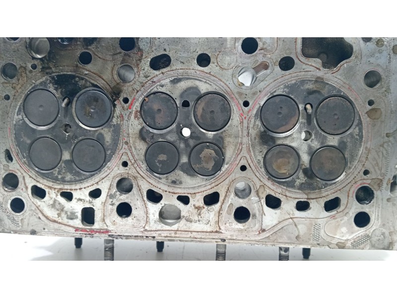Recambio de culata para volkswagen polo (6n2) 1.4 tdi referencia OEM IAM 04B103403M  