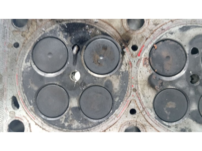 Recambio de culata para volkswagen polo (6n2) 1.4 tdi referencia OEM IAM 04B103403M  