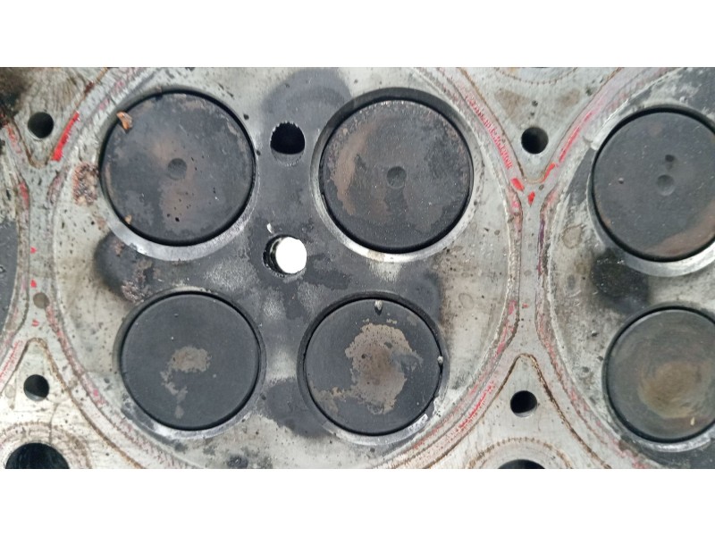 Recambio de culata para volkswagen polo (6n2) 1.4 tdi referencia OEM IAM 04B103403M  