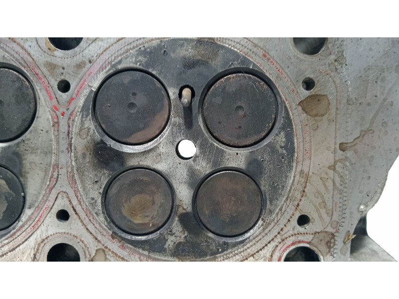 Recambio de culata para volkswagen polo (6n2) 1.4 tdi referencia OEM IAM 04B103403M  