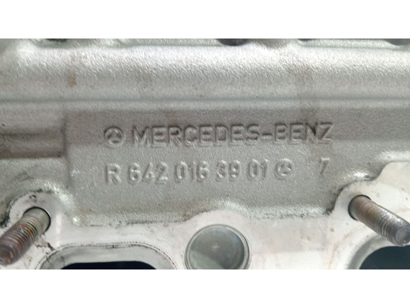 Recambio de culata para mercedes-benz clase r (w251) 3.0 cdi cat referencia OEM IAM R6420163901  