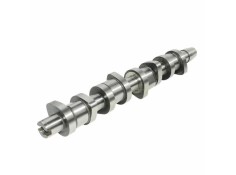 Recambio de arbol de levas para volkswagen touran (1t1, 1t2) 1.9 tdi referencia OEM IAM 038109101R  