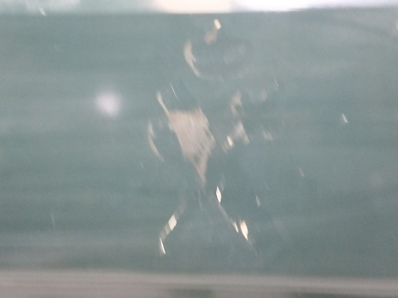 Recambio de puerta delantera izquierda para nissan terrano ii (r20) 2.4 4wd referencia OEM IAM Terrano ii  