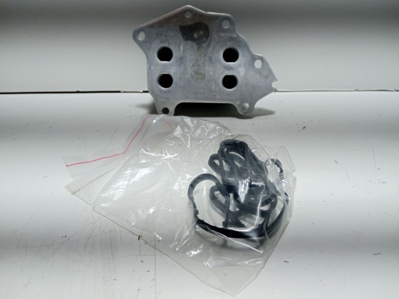 Recambio de radiador aceite para citroën berlingo 1.6 16v hdi referencia OEM IAM 050702  