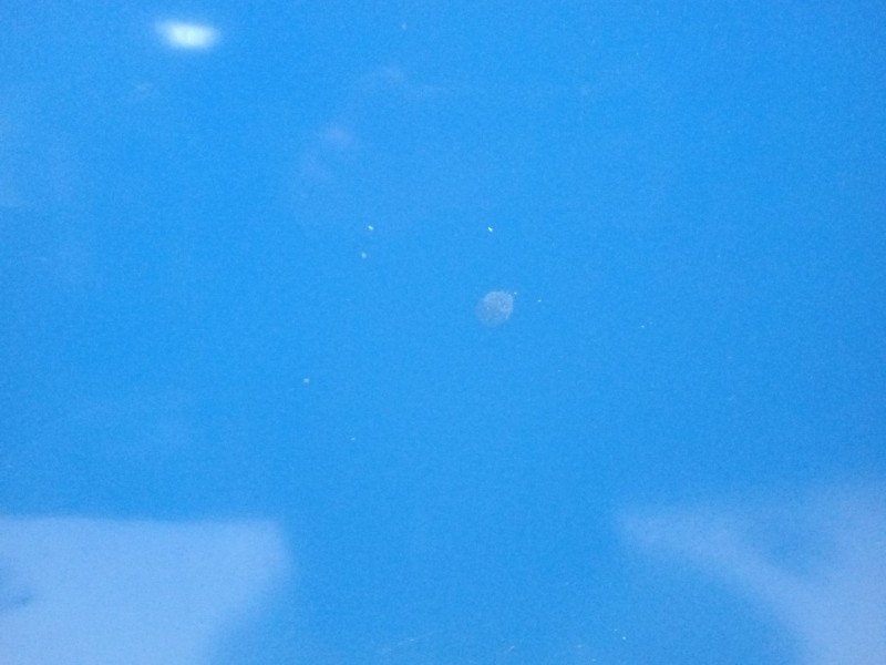 Recambio de capot para volkswagen caddy ka/kb (2k) ecofuel kombi referencia OEM IAM caddy  