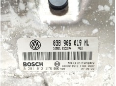 Recambio de centralita motor uce para seat ibiza iii (6l1) 1.9 tdi referencia OEM IAM 038906019NL   2