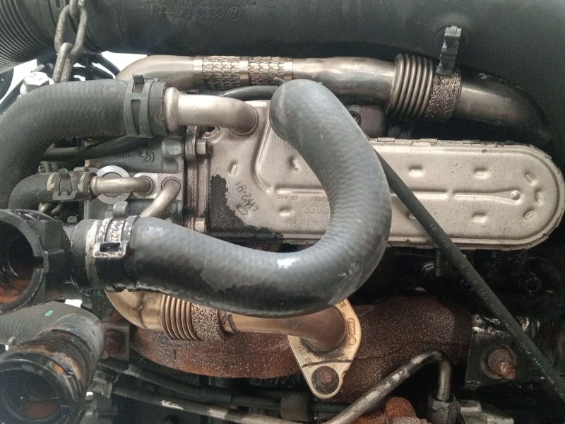 Recambio de motor completo para skoda octavia ii (1z3) 1.9 tdi referencia OEM IAM bxe  