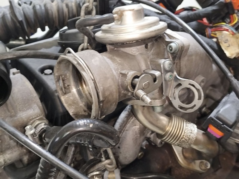 Recambio de motor completo para volkswagen passat b5.5 (3b3) 1.9 tdi referencia OEM IAM AVF  