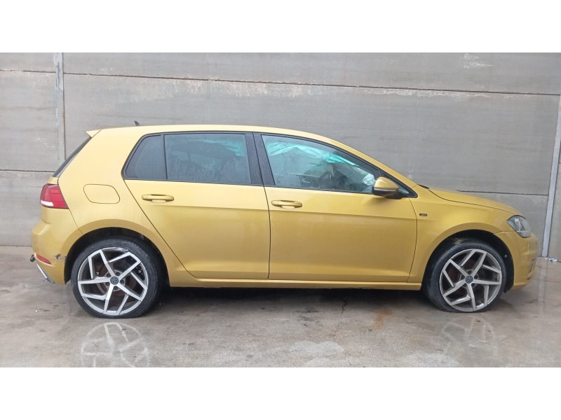 volkswagen golf vii (5g1, bq1, be1, be2) del año 2024
