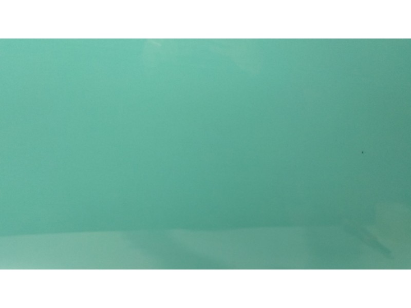 Recambio de luna trasera izquierda para seat leon st (5f8) 1.0 tsi referencia OEM IAM 5F4845025C  