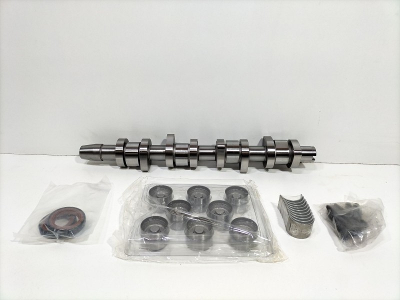 Recambio de arbol de levas para volkswagen golf v berlina (1k1) 1.9 tdi referencia OEM IAM AR11-007 / ARL1-001  