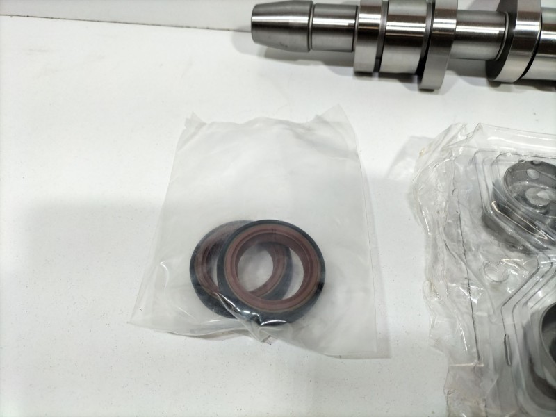 Recambio de arbol de levas para volkswagen golf v berlina (1k1) 1.9 tdi referencia OEM IAM AR11-007 / ARL1-001  