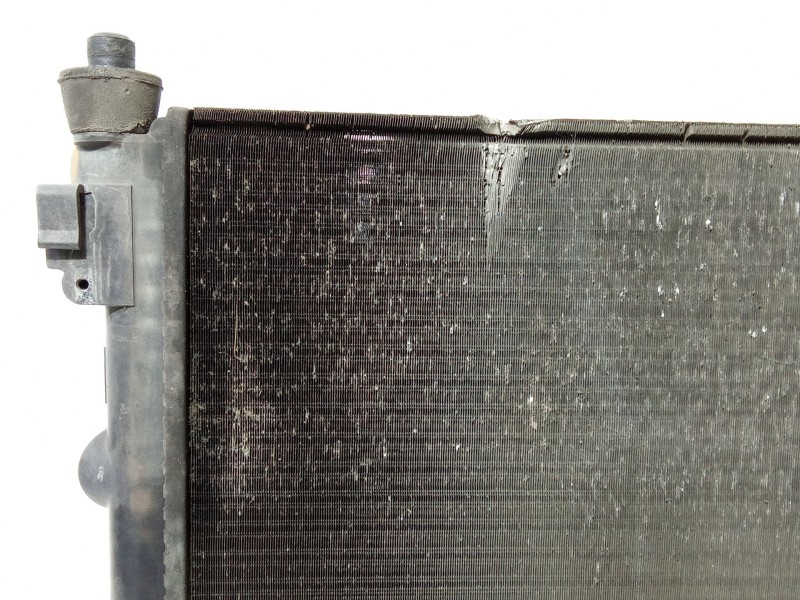 Recambio de radiador agua para dacia dokker furgón/monospace 1.5 dci 75 / blue dci 75 (fejw, feah) referencia OEM IAM 8200033831