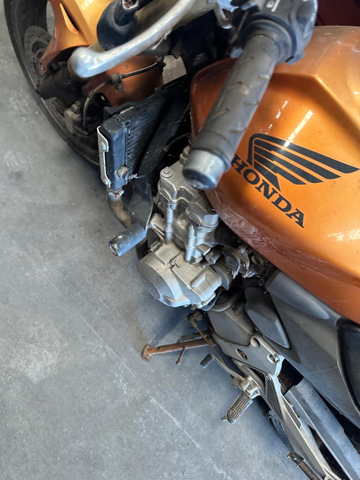 CB HORNET CB 600 F HORNET PC34 2002 - 2006 600CCM 95CV 70KW 0P ZÜNDSPULE - Bild 5 von 5